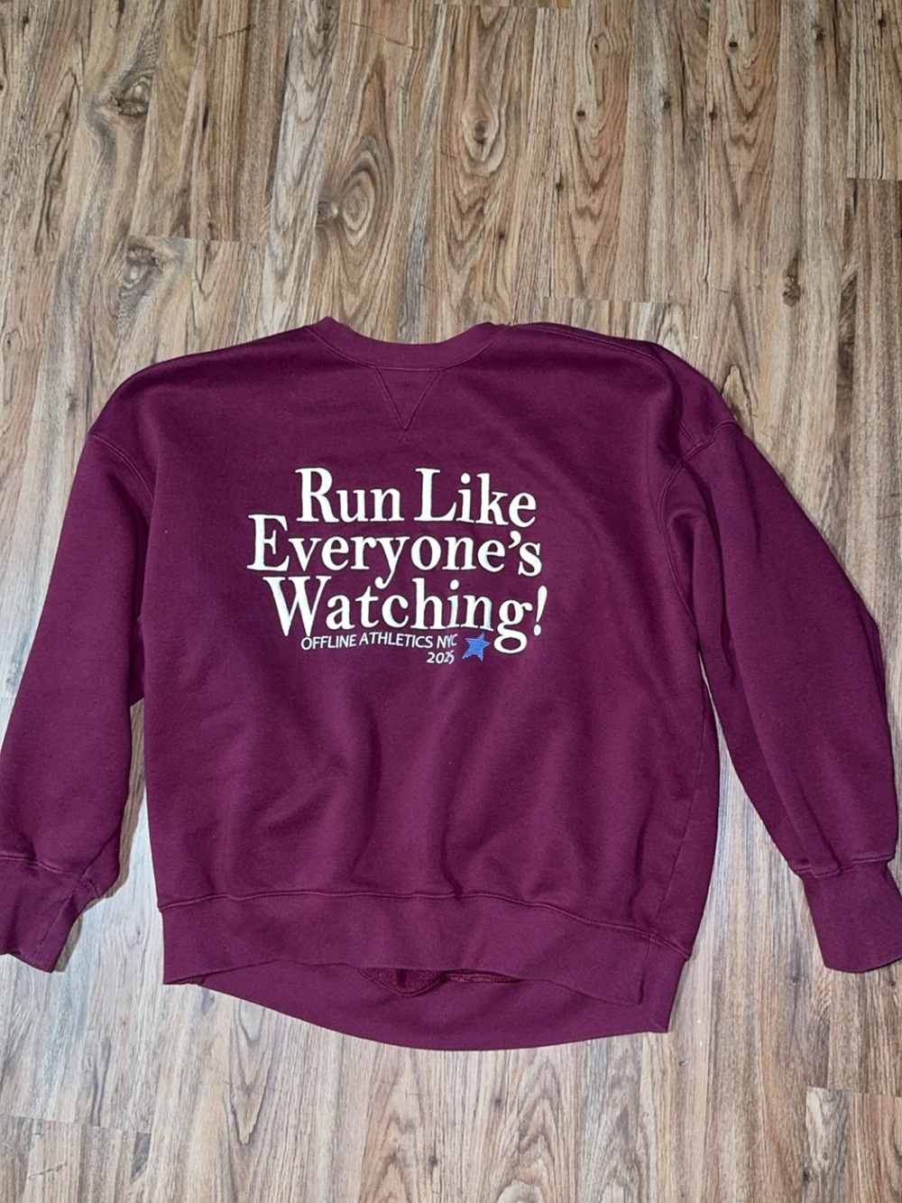 Super cozy OFFLINE by Aerie oversized crewneck sweatshirt in a gorgeous plum/bur